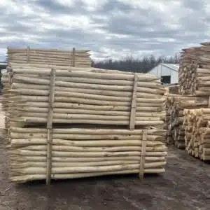 piquet cloture robinier acacia