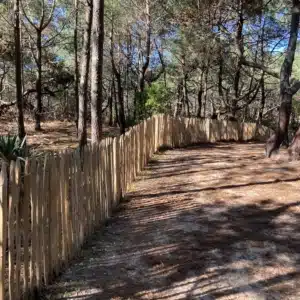 ganivelle cloture robinier