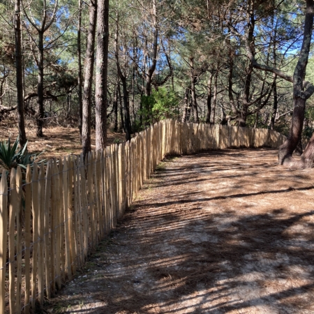 ganivelle cloture robinier