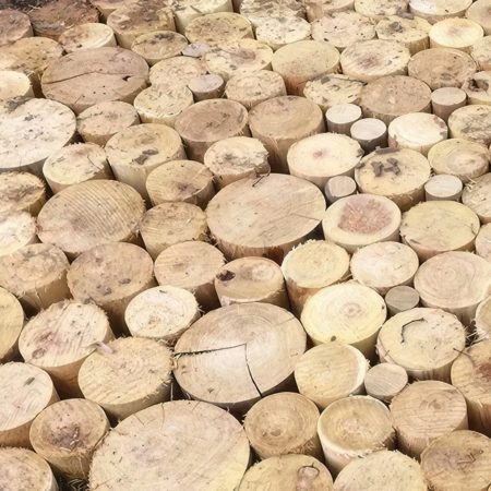 sol extérieur en pavés de bois ronds