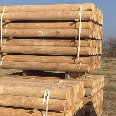 Renforcez la durabilité de votre clôture avec nos poteaux en robinier massif. Chaque poteau, taillé dans le bois noble du robinier, garantit une résistance exceptionnelle tout en préservant l'authenticité naturelle du matériau. Choisissez la pérennité avec nos poteaux en robinier massif.